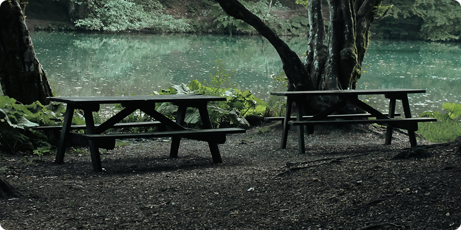 How to Protect Wooden Picnic Tables from Insects and Rot